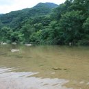 금릉황토 이미지