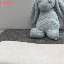 (주)포켓메모리 이미지