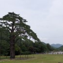 160629-30 --- 속리산 휴양림 대로 여행.... 이미지