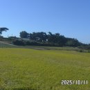 영광목장(3) 이미지