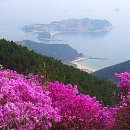 신평농협주유소 이미지