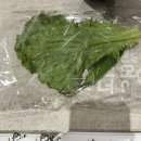 세종 족발 “가장맛있는족발 도담점” 배달 내돈내산 솔직후기