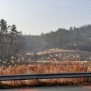 초당가는길 펜션 이미지