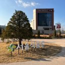 다이어리주유소 | 폴 바셋 강서 마곡 DT점 내돈내산 후기｜뷰 맛집 서울식물원 카페