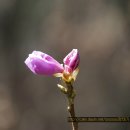 대부해솔길 6코스 이미지