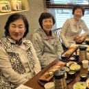 향촌문화관 Daum카페