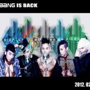 개키우는 언니 이미지