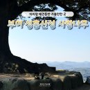 산성어린이집 | 커플 포토스팟으로 유명한 부여 성흥산성 사랑나무 반려견 동반 후기