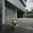 성동세무서 공중화장실 | [2024 연말정산 환급금] 성동세무서 반려견 동반 후기｜단 10분 만에 120만원 환급 ❤️