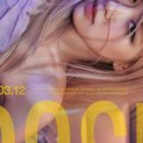 로제12 이미지
