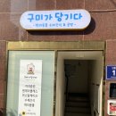 구미가 당기다 | 강아지생일케이크 입체로 만든 후기 / 구미가당기다