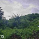 지방도341호 이미지