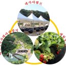 (주)대가야체험캠프 이미지