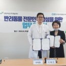 한국반려동물교육원 이미지