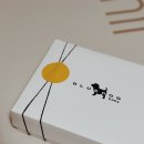 재이 최애 옷 “블루독 베이비”