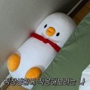한국특수씨링인쇄 | 65회 신용분석사(신분사) 2주 공부 후 합격 후기