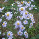 수동면 수산1리 이미지