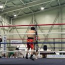 시흥권투체육관 이미지