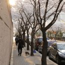 평리2동 행정복지센터 이미지