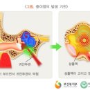 H6690 네이버블로그