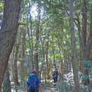 대수산봉 이미지