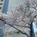 언양불고기 부산집본가 | 광안리 언양불고기거리 언양불고기 부산집본가 방문 주말 점심 후기