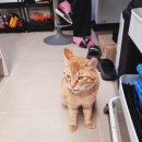 산청 지리산반달캠핑장 | 캠핑장 추천] 작년에 이어 올해도 벚꽃 캠핑은 '산청 지리산 반달캠핑장' (명당 사이트 및 시설 총정리)