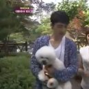 한밤의TV 연예 with 팝콘이 이미지