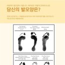 굿피트코리아 이미지