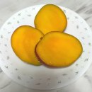 제주애플망고 산지직송 후기, 비오그린팜에서 받은 당도선별 애플망고 찐 추천