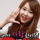 바우하우