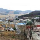 마금산횟집