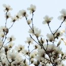 인라인스케이트장 옆 이미지