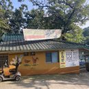 백숙삶다 | 우이동 백숙 맛집 늘푸른가는 솔직후기