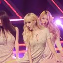 스텔라에이