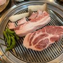 불고집