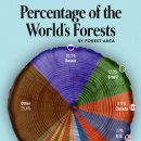 차트: 국가별 세계 산림 비율 이미지