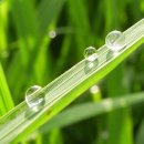 (주)씨튼 이미지