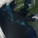 Climate Change Affects Biodiversity 이미지