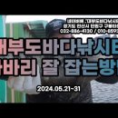 대부도바다낚시터 2024년 11월 8일 금요일 우럭 참돔 감성돔 농어등 조황 이미지