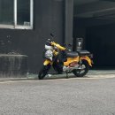 오매맛있는족발 | [250618]knock! : Don’t Tell Mom