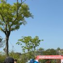 고창고등학교 | 나주 기브런 10km 마라톤 후기 (GIVE RUN 2026 IN NAJU)🏃🏻‍♀️🪽