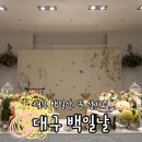 라온 헤어샾 | 대구 돌잔치 백일날 돌 상차림 이용후기 (+화란 스튜디오 의상 대여)