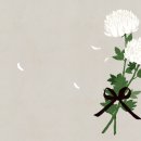 (주)이웃사람들 이미지