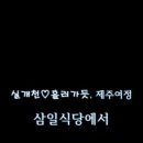 삼일식당 Daum카페