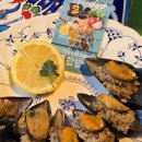 맑은마을 | 파주 헤이리마을 튀르키예 가정식 전문점 <앤조이터키> 내돈내산 오픈런 방문후기