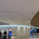 롯데타워 | 🌸 잠실 롯데타워 케이스티파이 매장 리뉴얼 후기