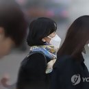 토속삼계탕 이미지