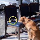 하나동물병원 이미지