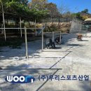 율산초등학교 이미지